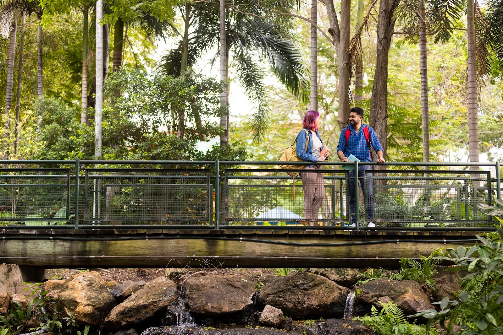 Accounting - Business