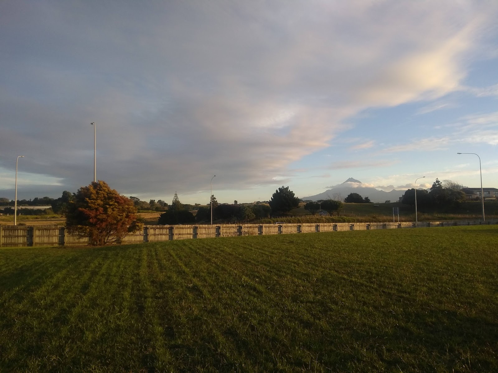 Applied Hotel Management