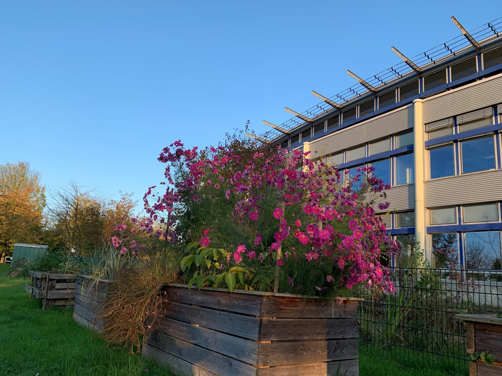 Bonn-Rhein-Sieg University of Applied Sciences