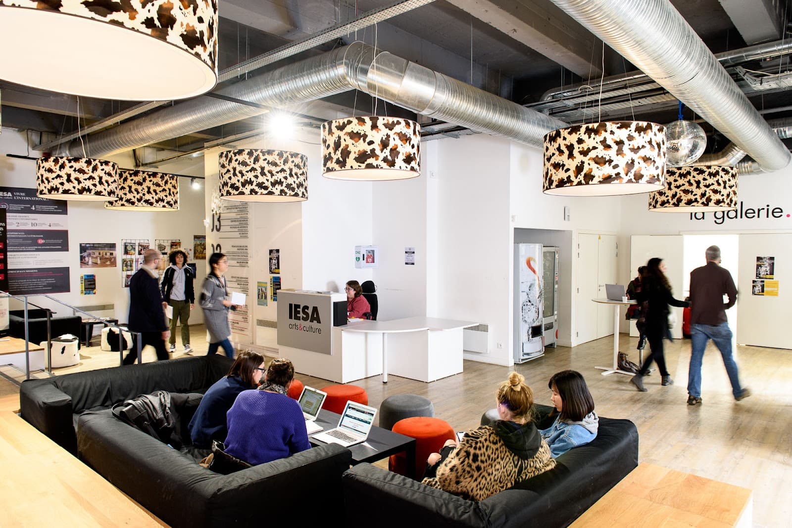 IESA - School of Arts and Culture