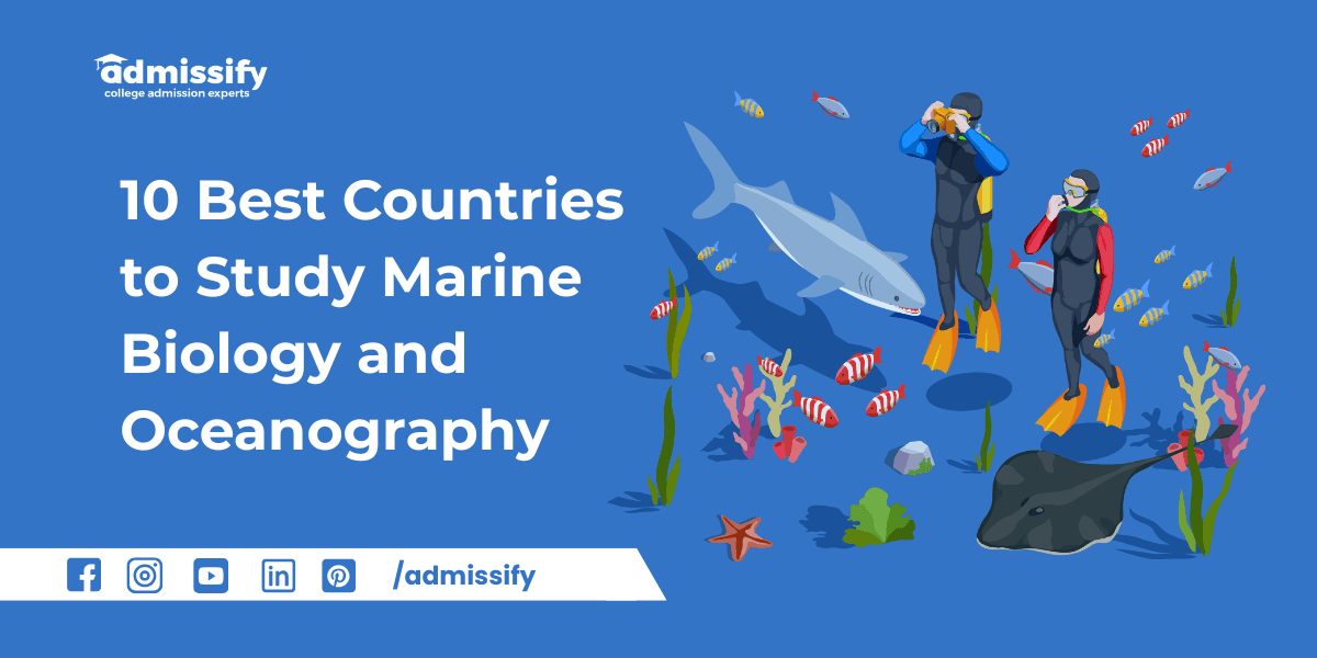 10 Best Countries to Study Marine Biology and Oceanography in 2026